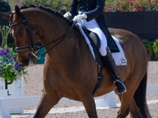 extended trot