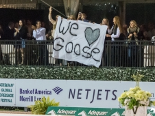 Goose