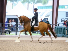SteffenPeters.Bailarino.7GD75041copyrightsusanjstickle.com.