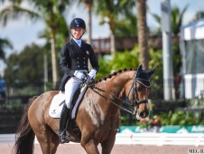 Festival of Champions 2015