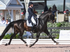 Festival of Champions 2015