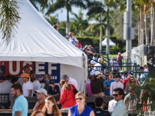 Festival of Champions 2015