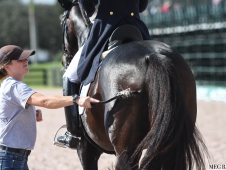 Festival of Champions 2015