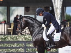 Festival of Champions 2015