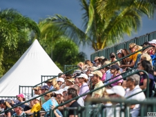Festival of Champions 2015