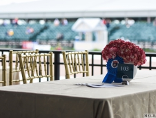 Festival of Champions 2015