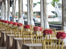 Festival of Champions 2015