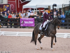 Festival of Champions 2015