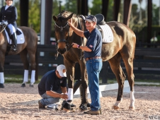 Festival of Champions 2015