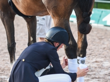 Festival of Champions 2015