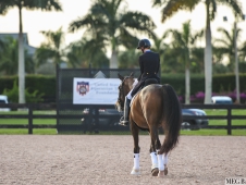 Festival of Champions 2015
