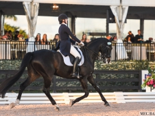 Festival of Champions 2015