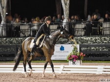 Festival of Champions 2015