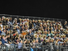 Festival of Champions 2015