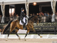 Festival of Champions 2015