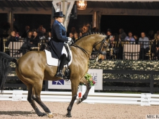 Festival of Champions 2015