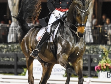 Festival of Champions 2015