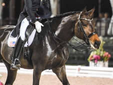 Festival of Champions 2015